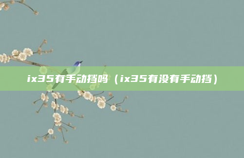 ix35有手动挡吗（ix35有没有手动挡）