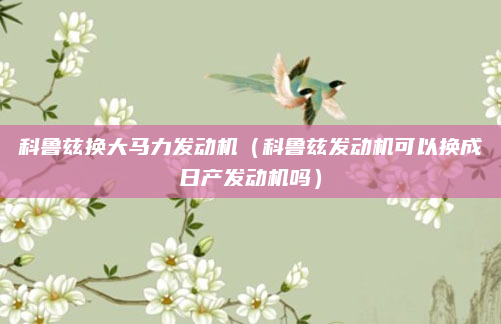科鲁兹换大马力发动机（科鲁兹发动机可以换成日产发动机吗）
