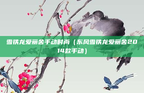 雪铁龙爱丽舍手动时尚(东风雪铁龙爱丽舍2014款手动)