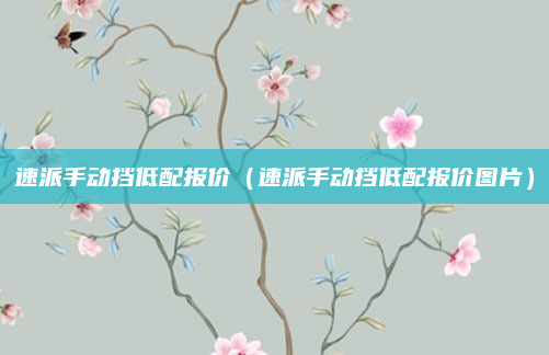 速派手动挡低配报价（速派手动挡低配报价图片）