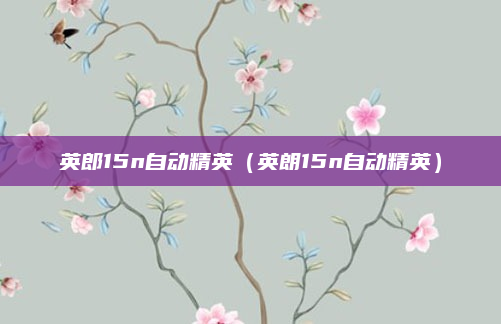 英郎15n自动精英（英朗15n自动精英）