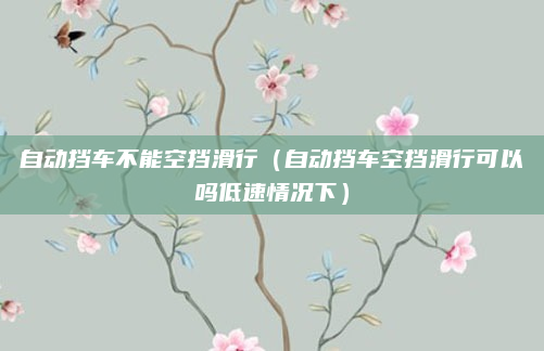 自动挡车不能空挡滑行（自动挡车空挡滑行可以吗低速情况下）