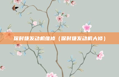 保时捷发动机维修(保时捷发动机大修)