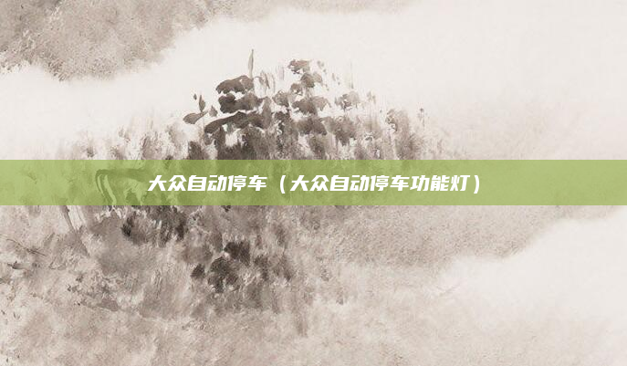 大众自动停车(大众自动停车功能灯)