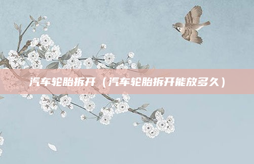 汽车轮胎拆开(汽车轮胎拆开能放多久)
