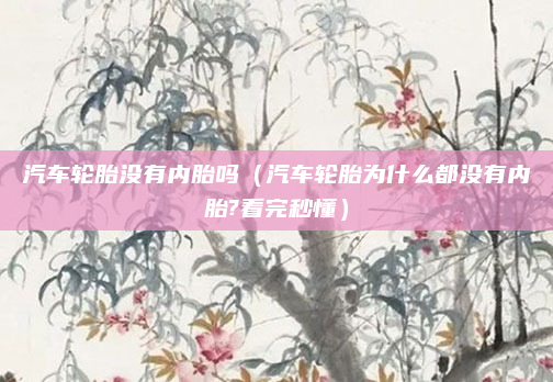 汽车轮胎没有内胎吗(汽车轮胎为什么都没有内胎?看完秒懂)