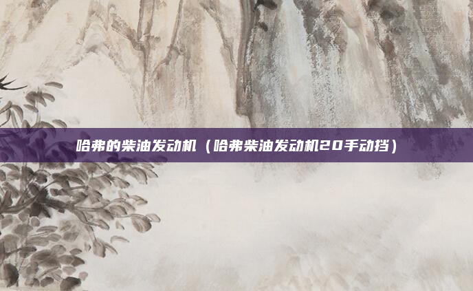哈弗的柴油发动机(哈弗柴油发动机20手动挡)
