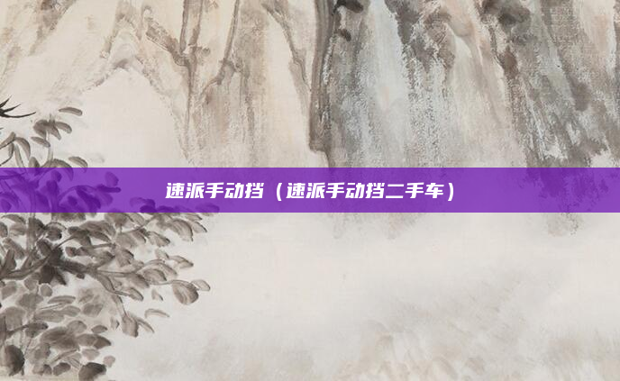 速派手动挡（速派手动挡二手车）