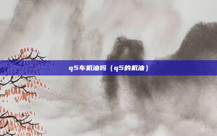 q5车机油吗(q5的机油)