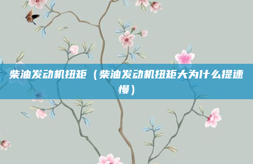 柴油发动机扭矩(柴油发动机扭矩大为什么提速慢)
