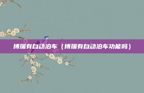 博瑞有自动泊车（博瑞有自动泊车功能吗）