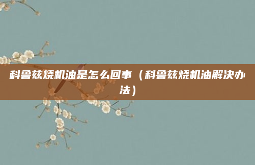 科鲁兹烧机油是怎么回事（科鲁兹烧机油解决办法）