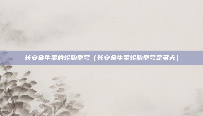 长安金牛星的轮胎型号（长安金牛星轮胎型号是多大）
