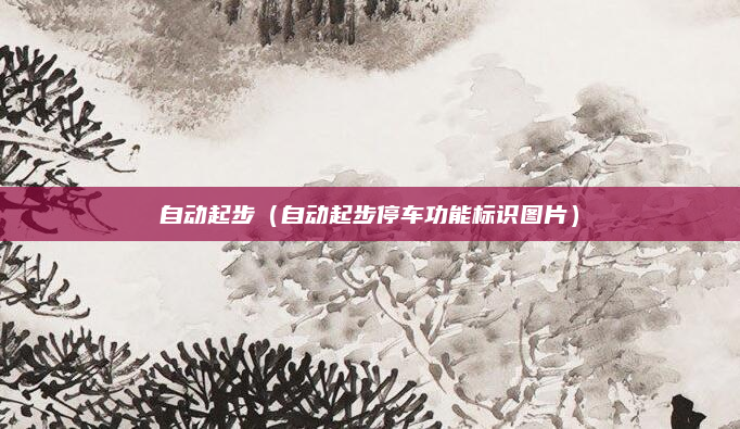 自动起步(自动起步停车功能标识图片)
