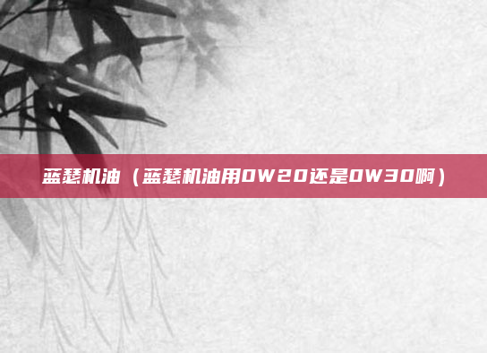 蓝瑟机油(蓝瑟机油用0W20还是0W30啊)