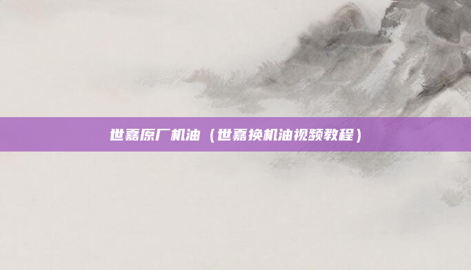 世嘉原厂机油（世嘉换机油视频教程）