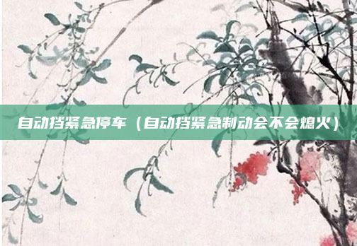 自动挡紧急停车（自动挡紧急制动会不会熄火）