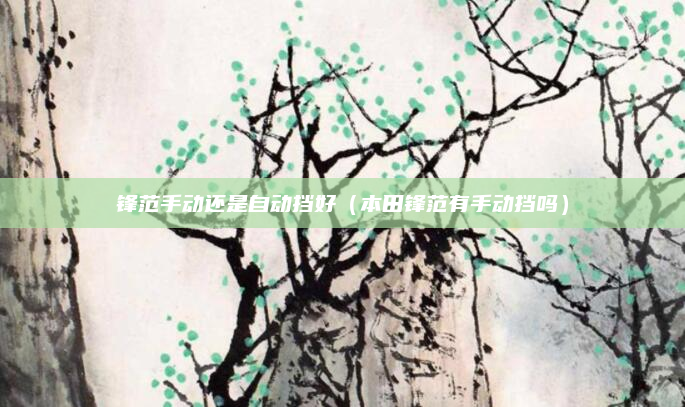 锋范手动还是自动挡好（本田锋范有手动挡吗）