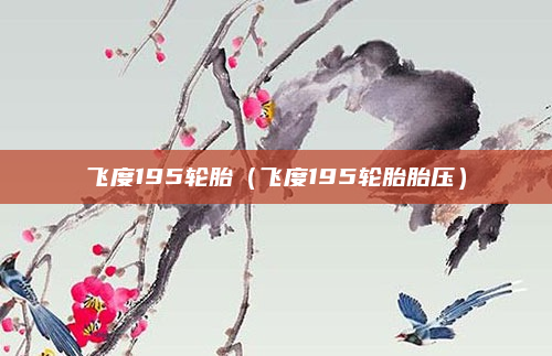 飞度195轮胎(飞度195轮胎胎压)