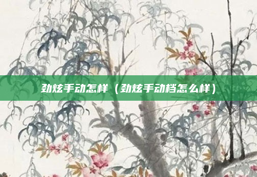 劲炫手动怎样(劲炫手动档怎么样)