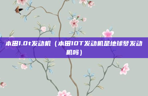 本田1.0t发动机(本田10T发动机是地球梦发动机吗)