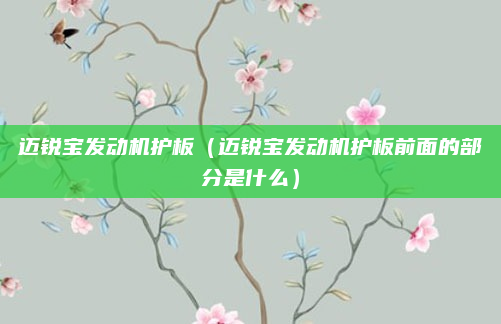 迈锐宝发动机护板（迈锐宝发动机护板前面的部分是什么）