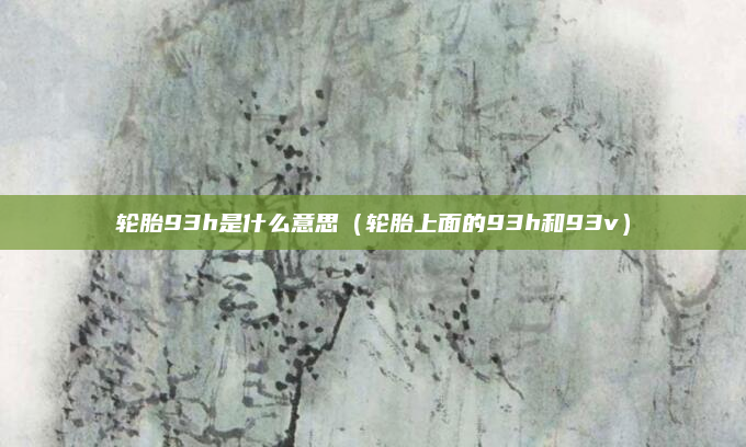 轮胎93h是什么意思(轮胎上面的93h和93v)