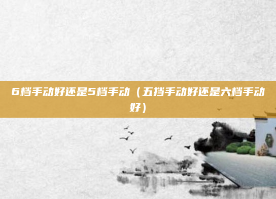 6档手动好还是5档手动(五挡手动好还是六档手动好)