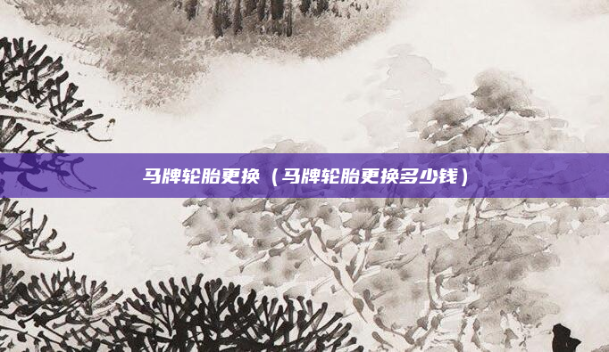 马牌轮胎更换（马牌轮胎更换多少钱）