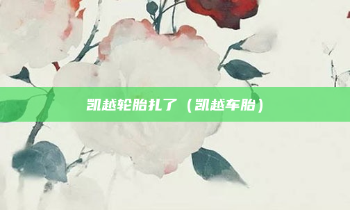 凯越轮胎扎了（凯越车胎）