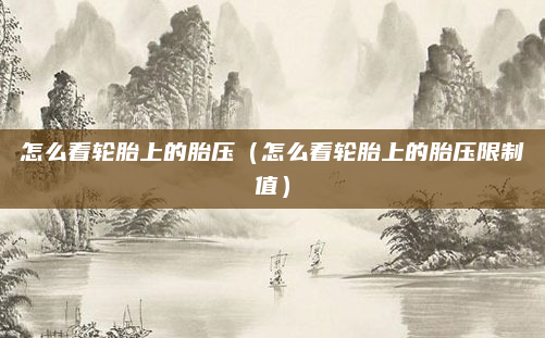 怎么看轮胎上的胎压(怎么看轮胎上的胎压限制值)