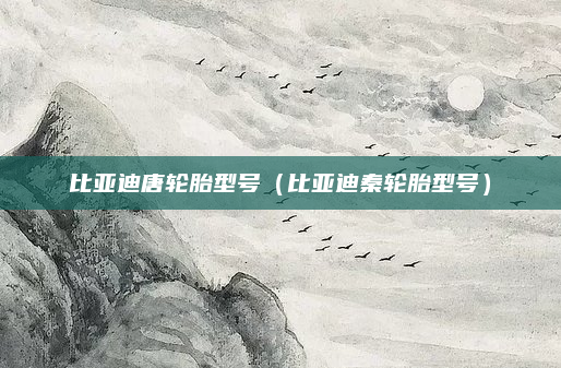 比亚迪唐轮胎型号(比亚迪秦轮胎型号)