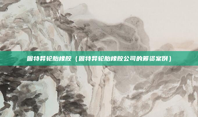 固特异轮胎橡胶（固特异轮胎橡胶公司的筹资案例）