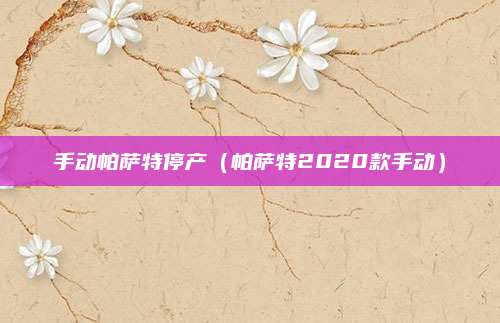 手动帕萨特停产（帕萨特2020款手动）