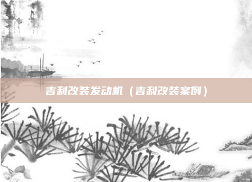 吉利改装发动机(吉利改装案例)