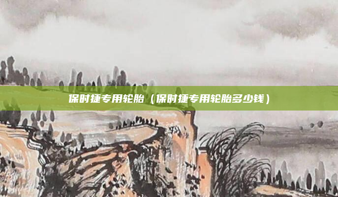 保时捷专用轮胎（保时捷专用轮胎多少钱）