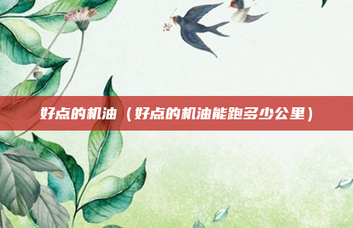 好点的机油(好点的机油能跑多少公里)
