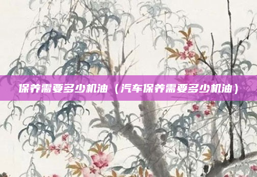 保养需要多少机油（汽车保养需要多少机油）