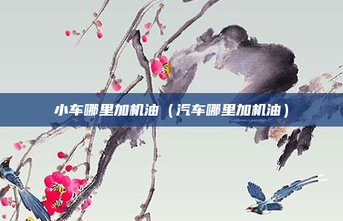 小车哪里加机油（汽车哪里加机油）
