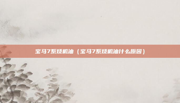 宝马7系烧机油（宝马7系烧机油什么原因）