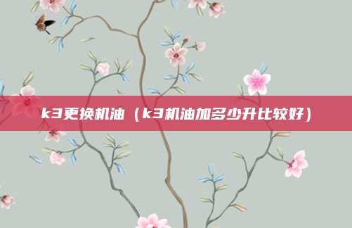 k3更换机油(k3机油加多少升比较好)