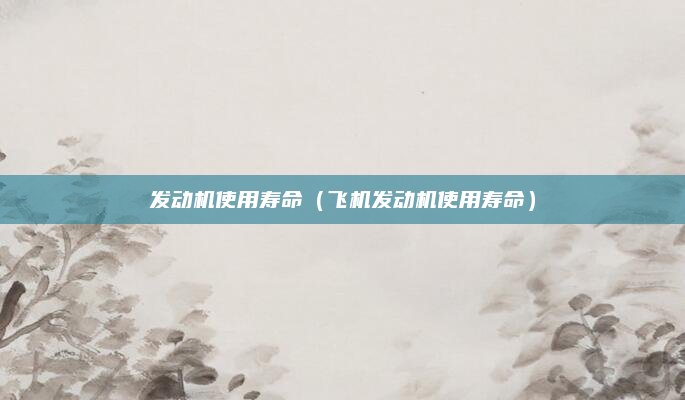 发动机使用寿命（飞机发动机使用寿命）
