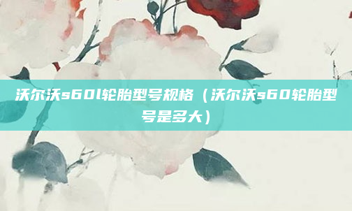 沃尔沃s60l轮胎型号规格（沃尔沃s60轮胎型号是多大）