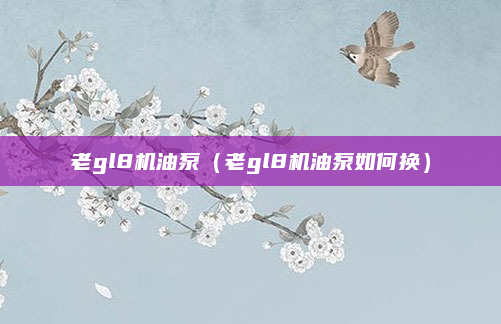 老gl8机油泵(老gl8机油泵如何换)