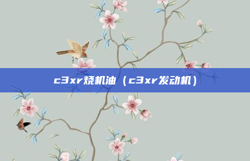 c3xr烧机油(c3xr发动机)