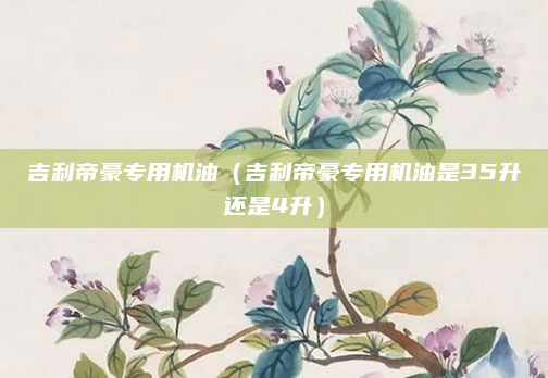 吉利帝豪专用机油(吉利帝豪专用机油是35升还是4升)
