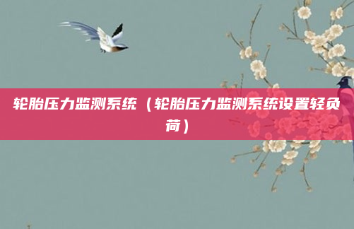 轮胎压力监测系统(轮胎压力监测系统设置轻负荷)