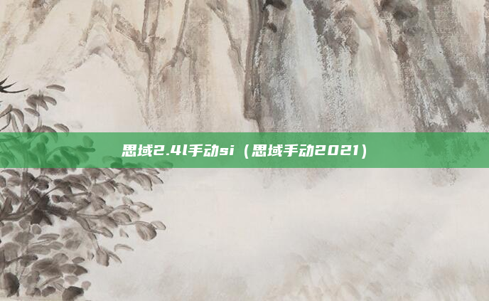 思域2.4l手动si(思域手动2021)