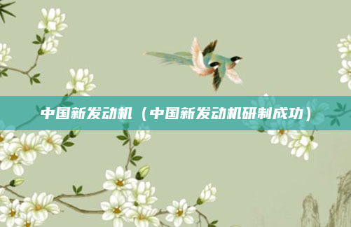 中国新发动机（中国新发动机研制成功）