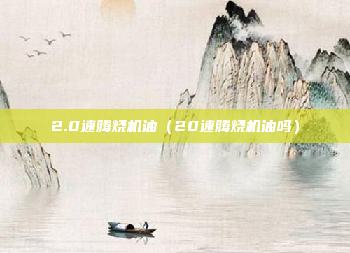 2.0速腾烧机油（20速腾烧机油吗）